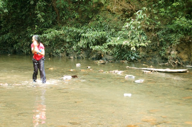 DSC_4256.JPG